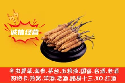 信阳新县回收冬虫夏草